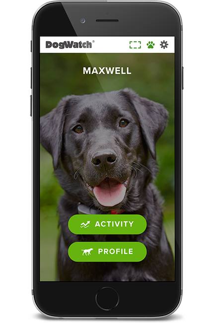 DogWatch of Alaska, Anchorage, Alaska | SmartFence WebApp Image