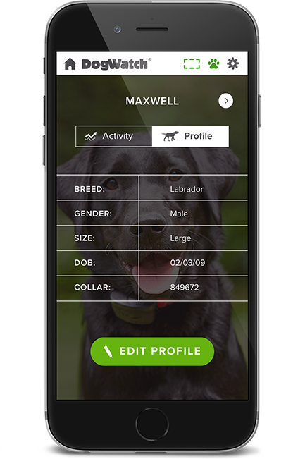 DogWatch of Alaska, Anchorage, Alaska | SmartFence WebApp Image